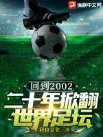 回到2002 小说